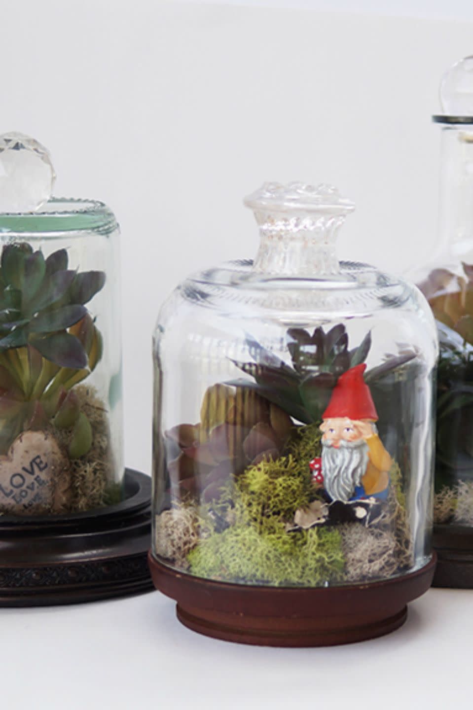 Whimsical Terrariums