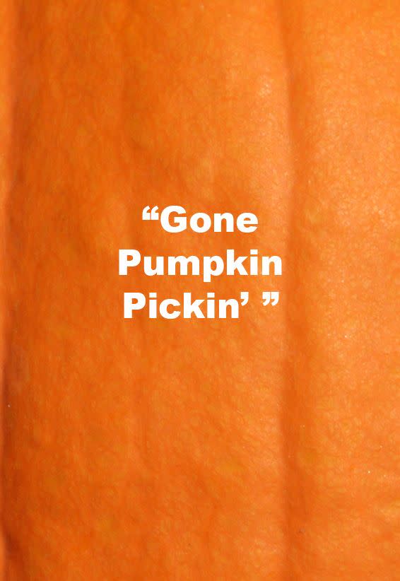 6) Gone Pumpkin Pickin'