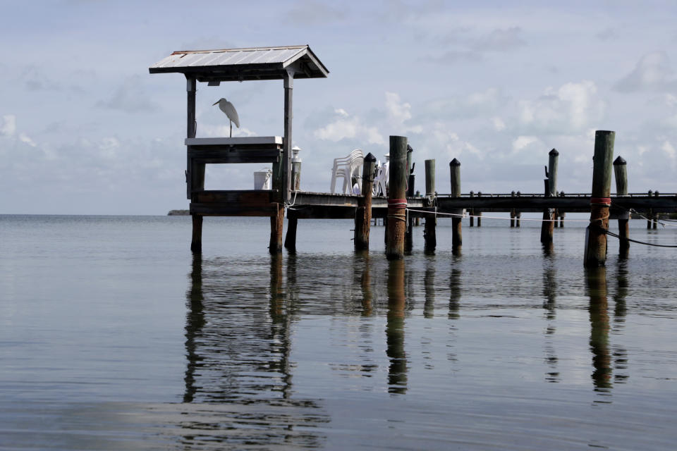 An egret sits on a boat dock in Tavernier, in the Florida Keys, during the new coronavirus pandemic, Monday, June 1, 2020. The Florida Keys reopened for visitors Monday after the tourist-dependent island chain was closed for more than two months to prevent the spread of the coronavirus. (AP Photo/Lynne Sladky)