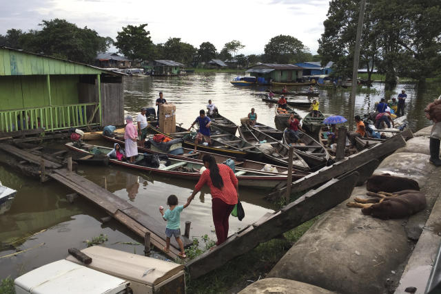 Governments are gathering to talk about the  rainforest. Why is it so  important to protect?