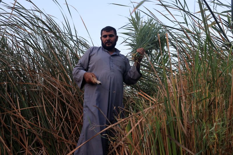 The Wider Image: "Our whole life depends on water" climate change, pollution and dams threaten Iraq's Marsh Arabs