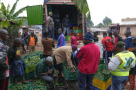 A truck is loaded with avocados in Kayanza province, Burundi, Sept. 18, 2024. (AP Photo/Brian Inganga)