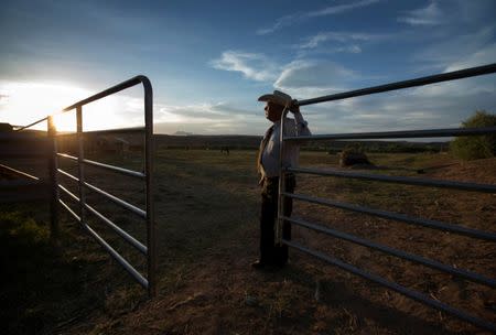 FILE PHOTO: Rancher Cliven Bundy looks out over his 160 acre ranch in Bunkerville, Nevada, U.S., May 3, 2014. REUTERS/Mike Blake/File Photo