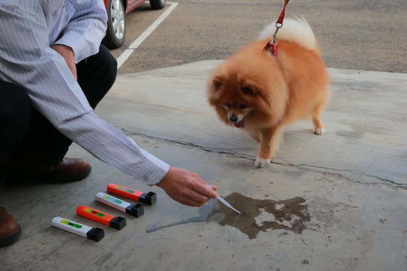 ▲新竹市政府透過SBIR，補助翰信科技研發出犬貓腎功能的快速檢測器，讓毛小孩的尿液「說」出身體不適。（圖/記者金祐妤攝,109.6.19）