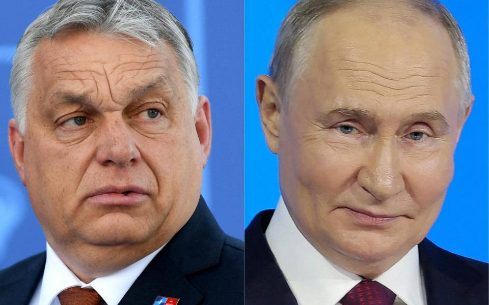 Vladimir Putin and Viktor Orban are set to discuss Ukraine during the Hungarian leader's sudden visit to Moscow on July 5