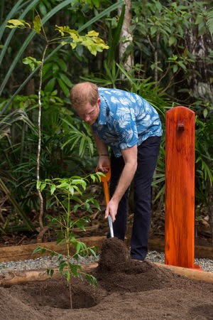 Britain's Prince Harry plants a tree using a spade used by Queen Elizabeth during her visit to Fiji in 1953, at a dedication of the Colo-i-Suva forest to the Queen's Commonwealth Canopy in Suva, Fiji, October 24, 2018.Dominic Lipinski/Pool via REUTERS