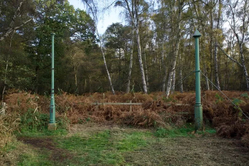 Holme Fen National Nature Reserve