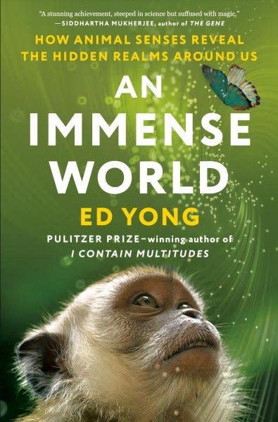 An Immense World How Animal Senses Reveal The Hidden Realms Around Us By Ed Yong