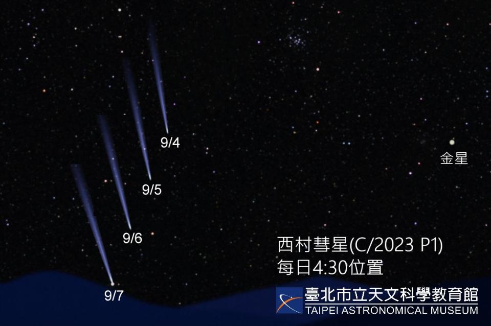 圖說：西村彗星9月4至7日每日4:30位置示意圖（彗星經放大處理），金星可作為尋找指標，之後將因太接近太陽而難以觀賞。