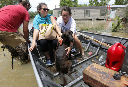 Brittany Addox (R) comforts her dog, Maggie, after being rescued in Ascension Parish, Louisiana. REUTERS/Jonathan Bachman