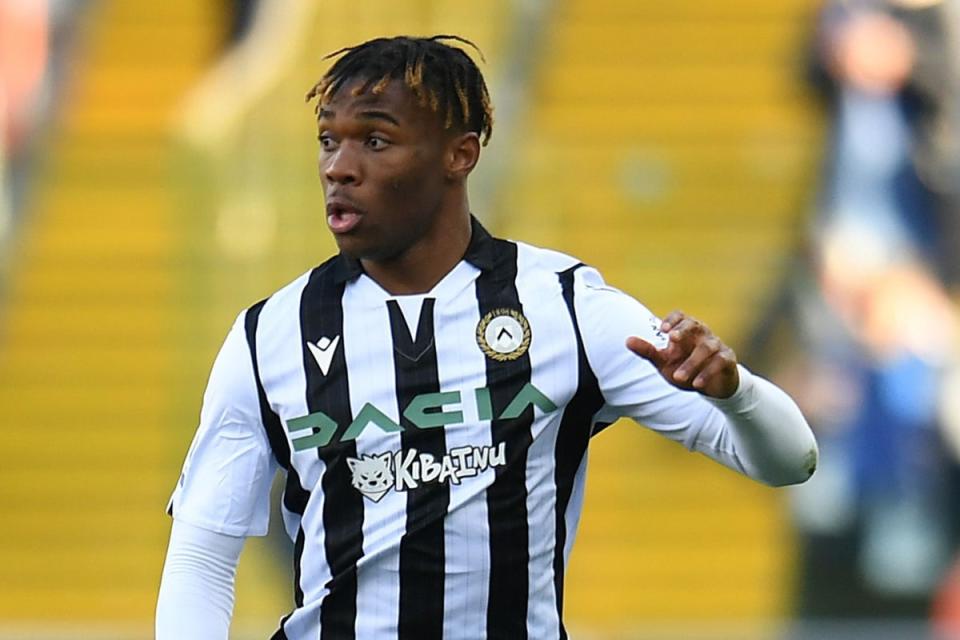 Destiny Udogie will sign for Tottenham before quickly rejoining Udinese on loan for the year (Getty Images)