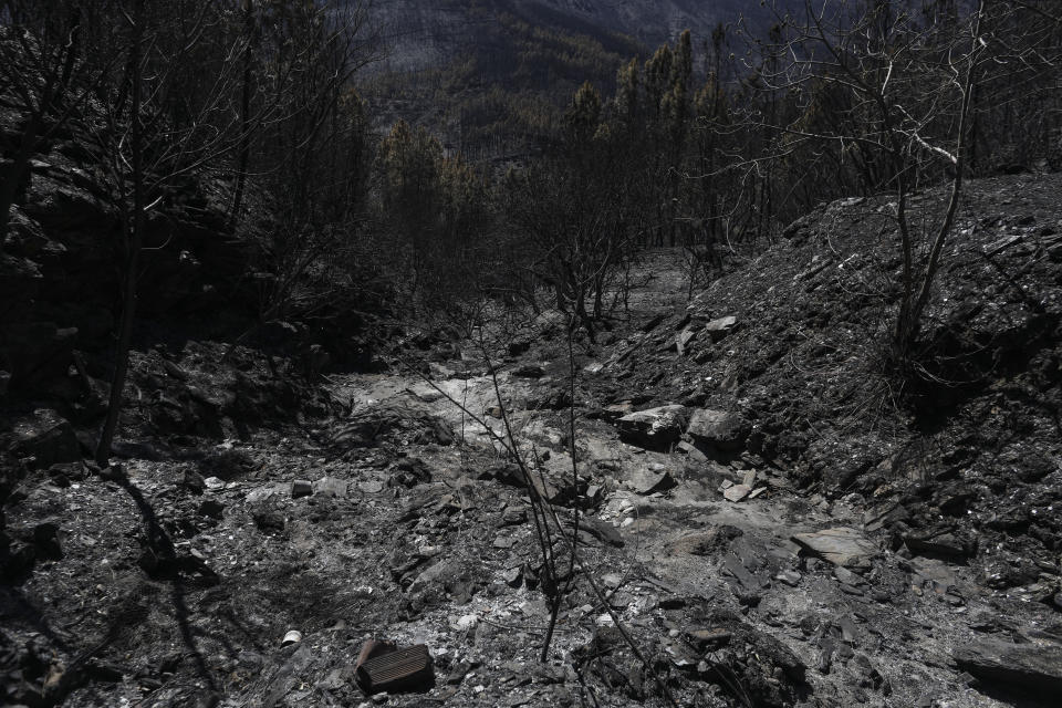 CORRECTS NAME OF THE PHOTOGRAPHER - Charred trees after a wildfire near Vale da Amoreira, Portugal on Friday, Aug. 19, 2022. (AP Photo/Joao Henriques)