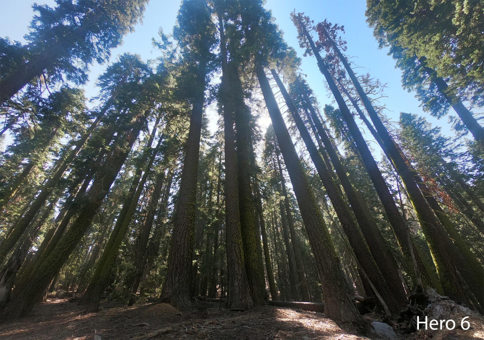 Ever wondered why GoPro's flagship camera is called "the Black" but has always