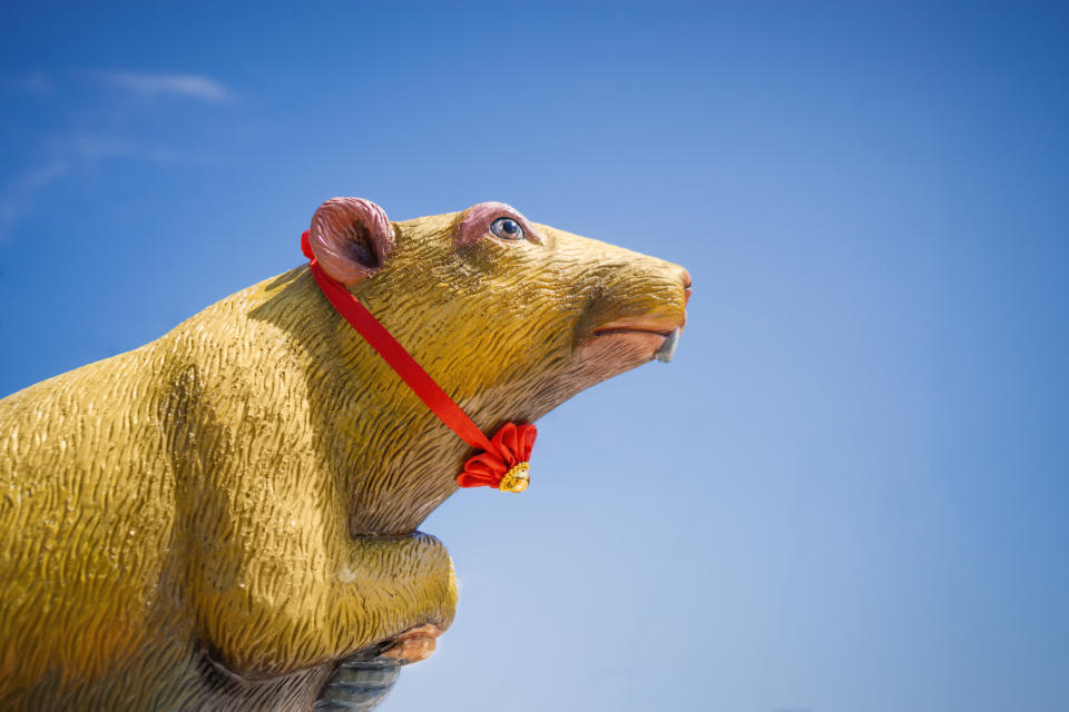 Chinese New Year, Year of The Rat. Chinese New Year at Peak Nam Tong Buddhist Temple.