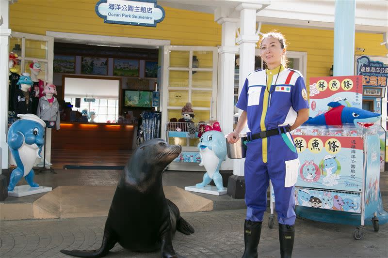 可愛又帥氣的海獅巡警們，1月21日至2月5日每日不定時會出現在海洋村及探島區域巡邏打卡。（圖／花蓮海洋公園提供）