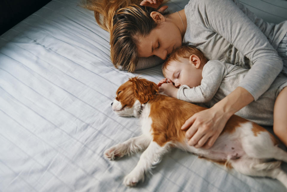 A woman, a baby, and a small dog sleep together on a bed, snuggled closely. The woman and baby wear similar outfits, creating a cozy and intimate moment