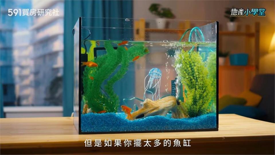 遇水則發？風水師解析魚缸這樣擺是大忌　居家陰氣重恐衰10年