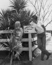 <p>James Brolin at home on his Appytime ranch in California with wife, Jane Cameron Agee, in 1970.</p>