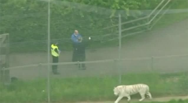 Families were forced to flee the scene after they heard screams coming from the enclosure. Photo: 7 News
