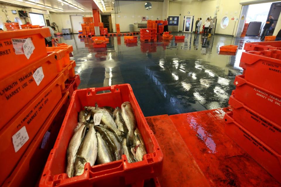 Fisheries that rely on stocks in the North Atlantic may struggle to sustain their catches if the high temperatures damage fish populations (Steve Parsons/PA) (PA Archive)