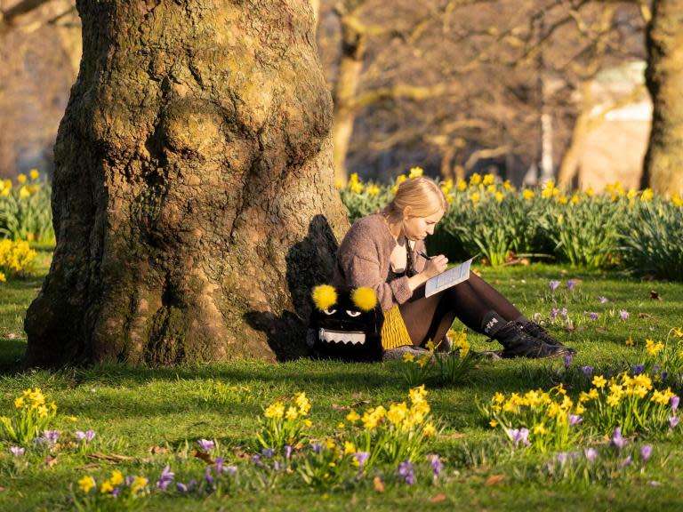 UK weather forecast: Britain to bask in sun as temperatures hit 17C, Met Office says