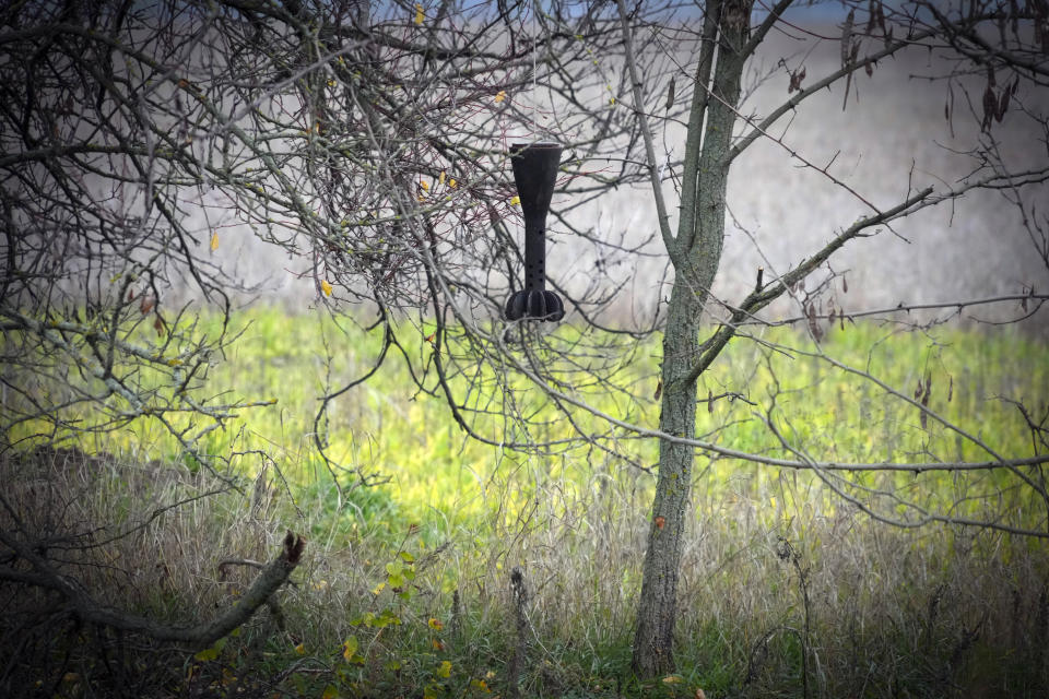 A fragment of a shell hangs on a tree after heavy battles in the Mykolaiv region, Ukraine, Saturday, Nov. 12, 2022. (AP Photo/Efrem Lukatsky)