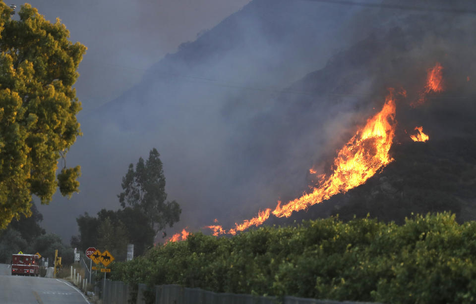 Dried vegetation poses a major wildfire threat. (Photo: Associated Press)