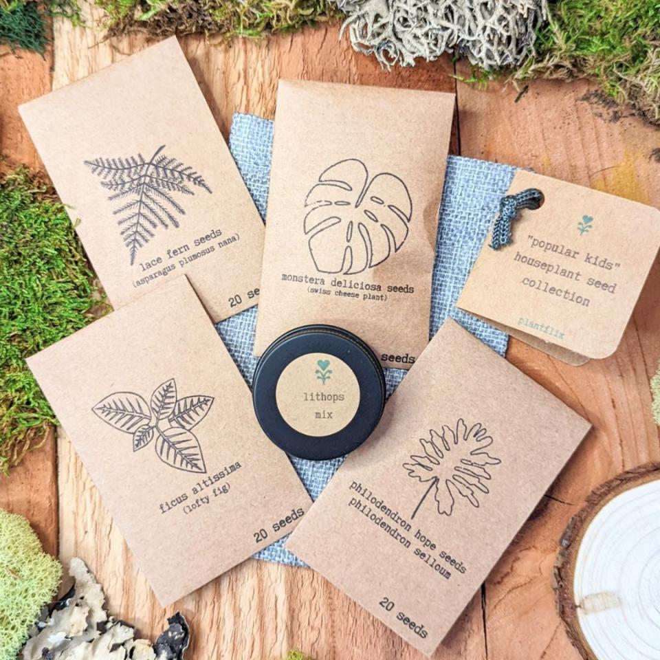 The perfect collection of exotic tropical houseplants can be found in this seed set of five plant varieties including lofty fig, philodendron and monstera deliciosa, all sourced from a credible grower in San Marcos, California. These seeds will need to be sprouted before planting.You can buy this collection of houseplant seeds from Etsy for around $40.
