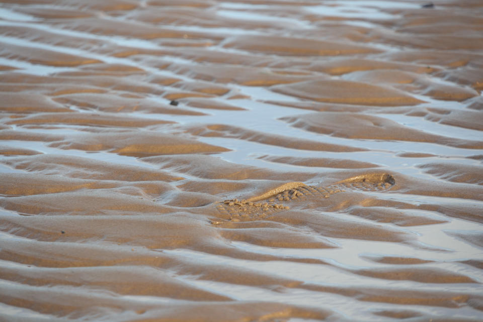 Footprint in the sand shot on a Panasonic Lumix S 100mm f/2.8 Macro