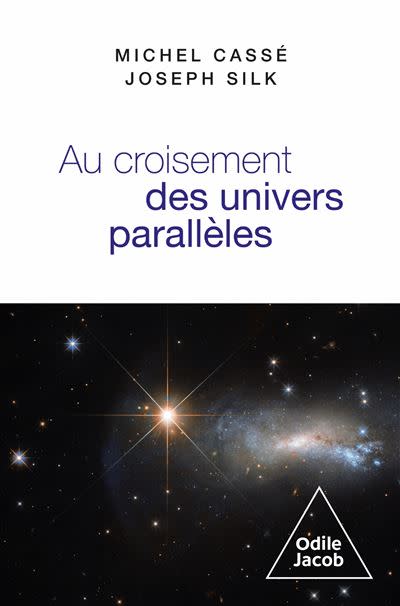At the Crossroads of Parallel Universes - 1