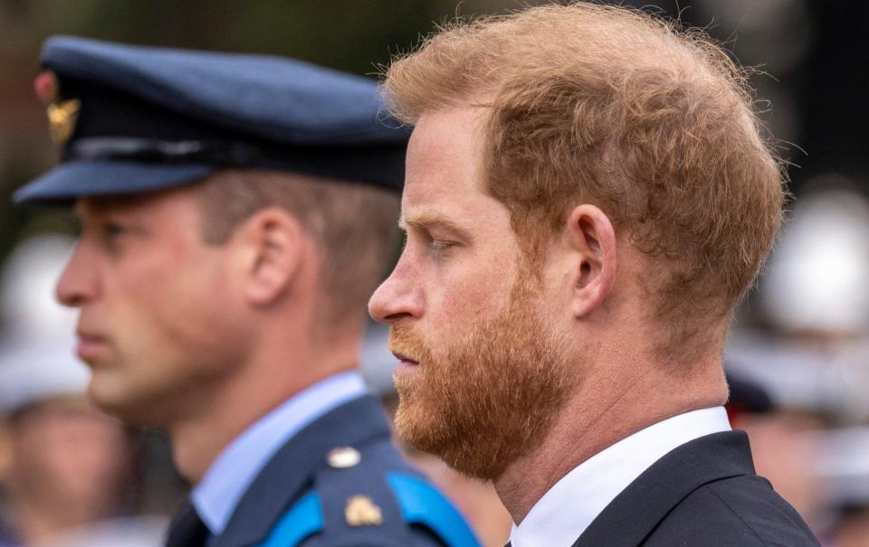 Prince William and Harry at Elizabeth II's funeral