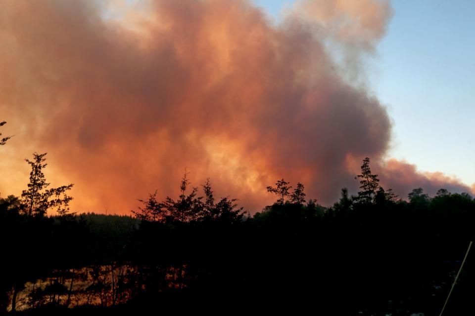 Smoke rises above the Stafford Forge Wildlife Management area off Route 539 in Little Egg Harbor Tuesday afternoon, March 7, 2023.