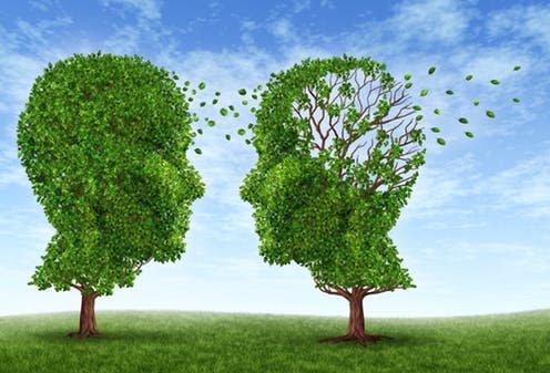 <span class="caption">Being bilingual can delay onset of dementia, but sometimes patients revert to their mother tongue, leaving them isolated.</span> <span class="attribution"><a class="link " href="https://www.shutterstock.com/image-illustration/living-alzheimers-disease-two-trees-shape-100688473" rel="nofollow noopener" target="_blank" data-ylk="slk:Shutterstock;elm:context_link;itc:0;sec:content-canvas">Shutterstock</a></span>