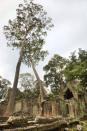 Preah Khan, overgrown with trees and vegetation, has inspired legions of writers, photographers and artists.