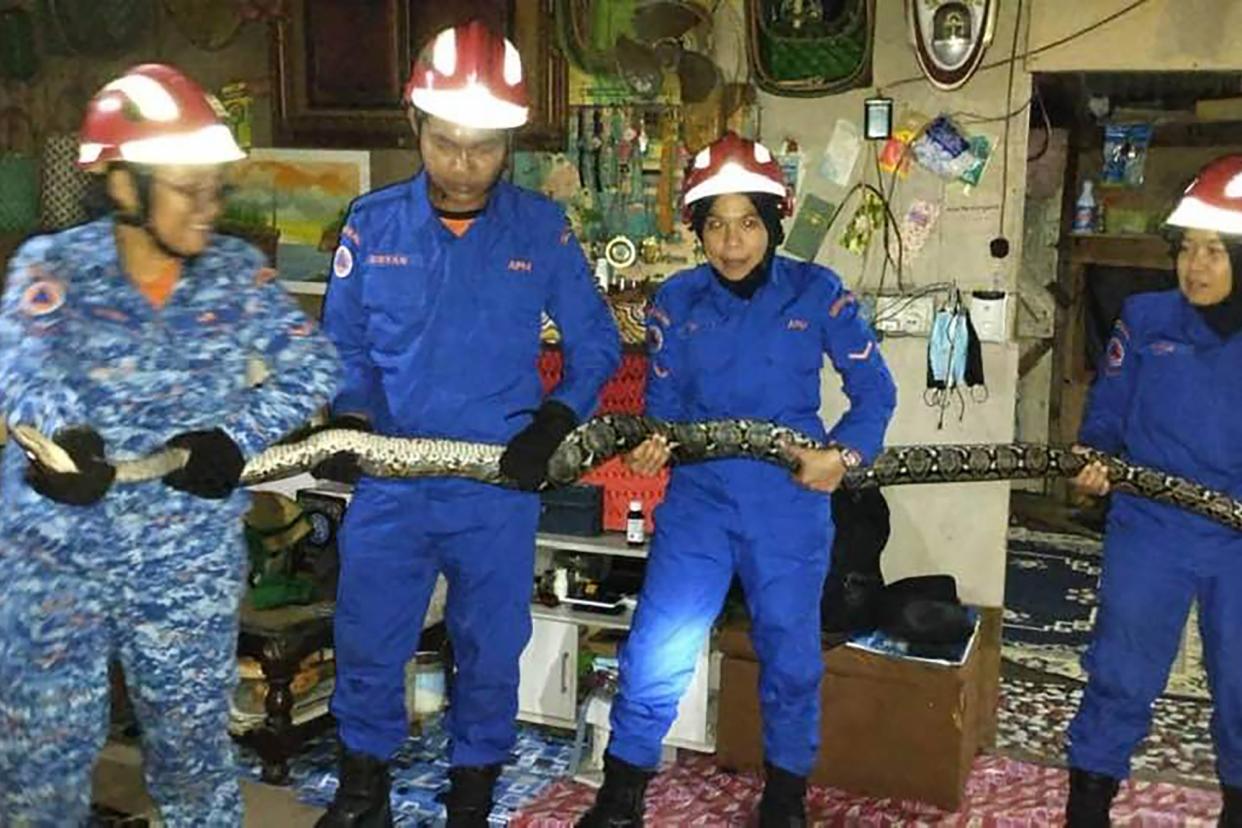 https://www.facebook.com/photo/?fbid=482632400696364&set=a.403239251969013. snake falls into family's home. Credit: APM Miri