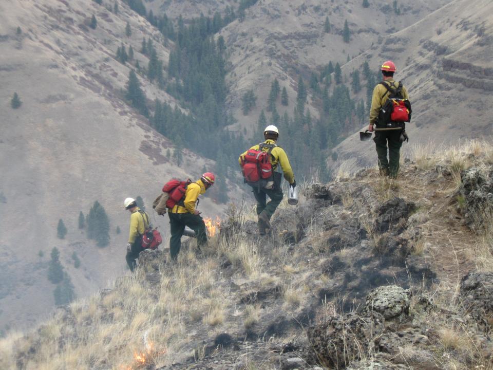 Firefighters carry out a prescribed burn in the Angeles National Forest in an undated image.