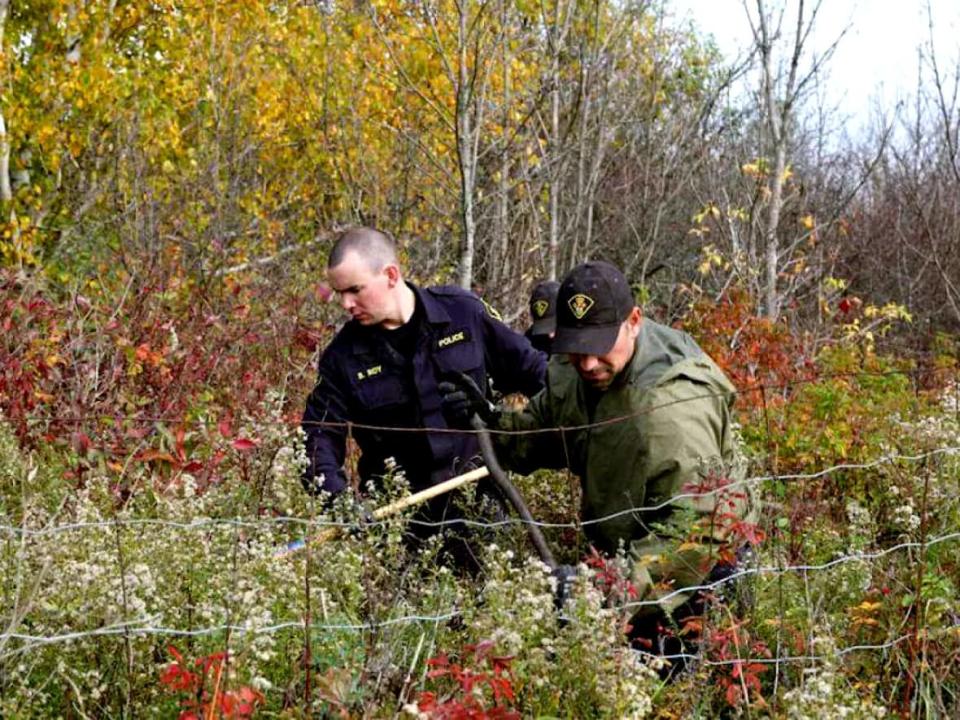 Ontario Provincial Police officers search a wooded area in North Cobalt following a fresh tip about 15-year-old Mélanie Ethier, who disappeared in 1996.  (Zacharie Routhier/Radio-Canada  - image credit)