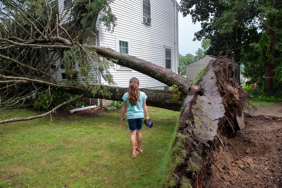 Emme Bergeron, 7, inspects a downed tree on her neighbor's house on Jean Street in Framingham following a quick-moving storm Tuesday afternoon, July 25, 2023.