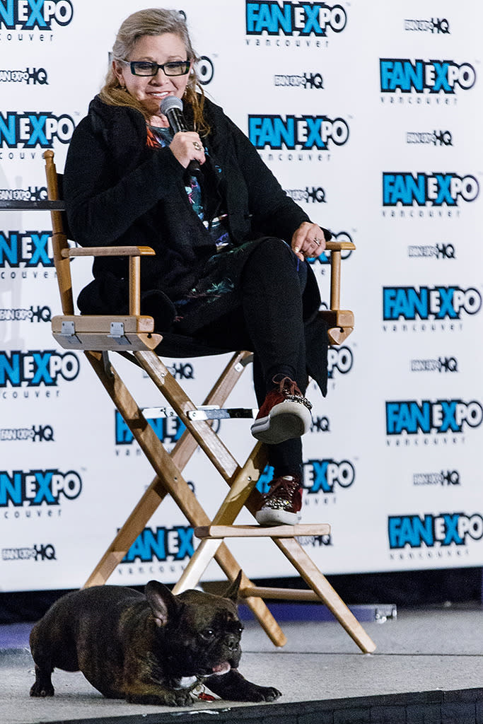 Gary is an old pro when it comes to doing press. The dog, who has appeared on Good Morning America (for realsies), accompanied his master to Fan Expo Vancouver and sat in for her Q&A session in April 2015. We’re not sure how the audience could concentrate on anything but Gary. (Photo: Getty Images)