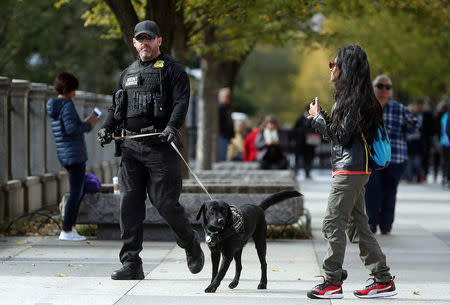 A Secret Service officer patrols the perimeter of the White House in Washington, U.S., October 24, 2018. REUTERS/Cathal McNaughton