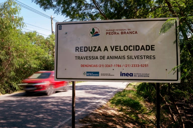 Un panneau "Réduisez la vitesse, chemin de traverse d'animaux sauvages" sur le bord de la route Roberto Burle Marx, à l'ouest de Rio de Janeiro, le 17 avril 2024 au Brésil (TERCIO TEIXEIRA)