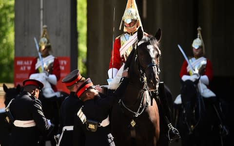 Members of the Household Cavalry will ride in the carriage procession at the Royal Wedding - Credit: WPA pool