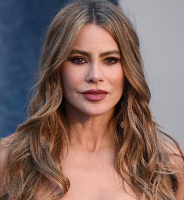 AGT's Sofia Vergara poses with her stunning rarely-seen sister