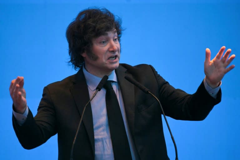 El presidente de Argentina, Javier Milei, pronuncia un discurso en el Foro Económico Internacional de las Américas, en Buenos Aires, el 26 de marzo de 2024 (Juan Mabromata)