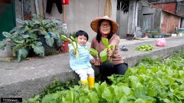陳金婷老師與孫子同享種菜趣。(記者王志誠攝)