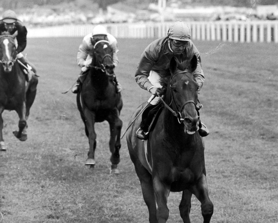 Joe Mercer on Brigadier Gerard, winning the Prince of Wales's Stakes at Ascot, June 1972 - Bentley Archive/Popperfoto via Getty Images