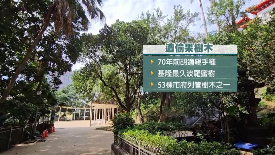 偷摘前中研院長親種波羅蜜　警方循線逮捕２嫌依法開罰