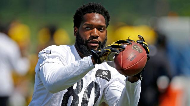 Pittsburgh Steelers wide receiver Yancey Thigpen drops a pass in