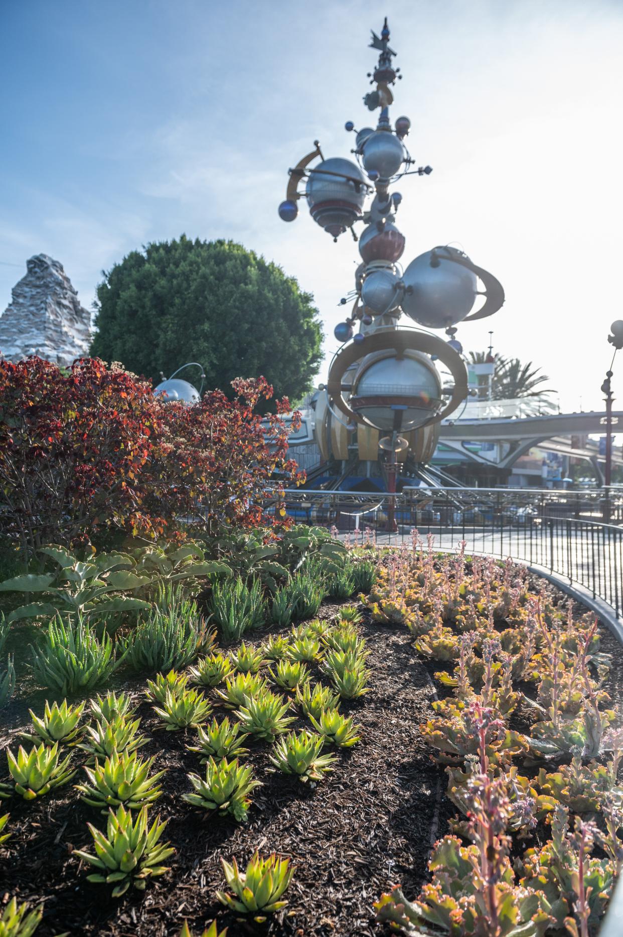 Disneyland uses drought-tolerant plants in many places and carefully monitors irrigation throughout the California resort.