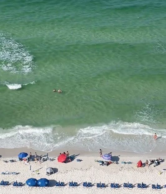 Holidaymakers scrambed out the sea after a man spotted the shark circling in the water